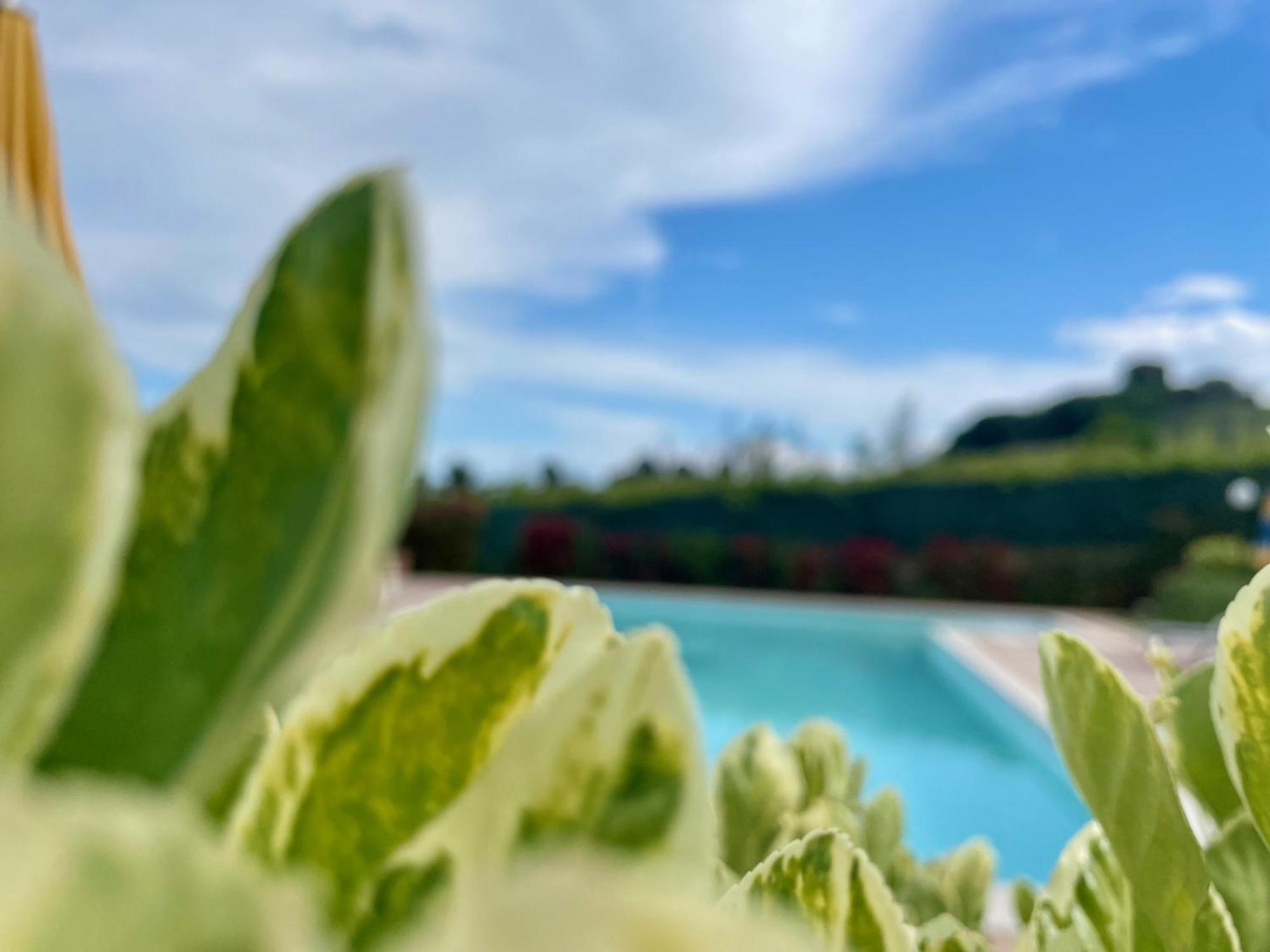 Vigneto - Italian Restaurant & B&B Villa Rosa Di Martinsicuro Extérieur photo