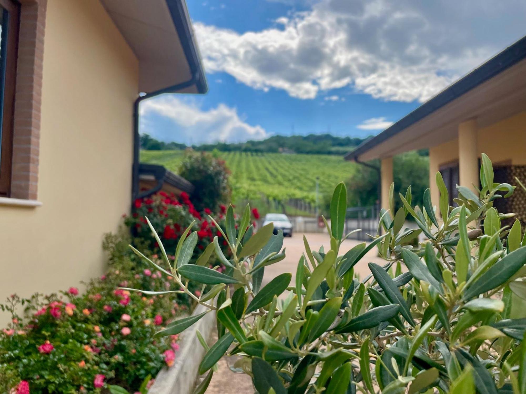 Vigneto - Italian Restaurant & B&B Villa Rosa Di Martinsicuro Extérieur photo