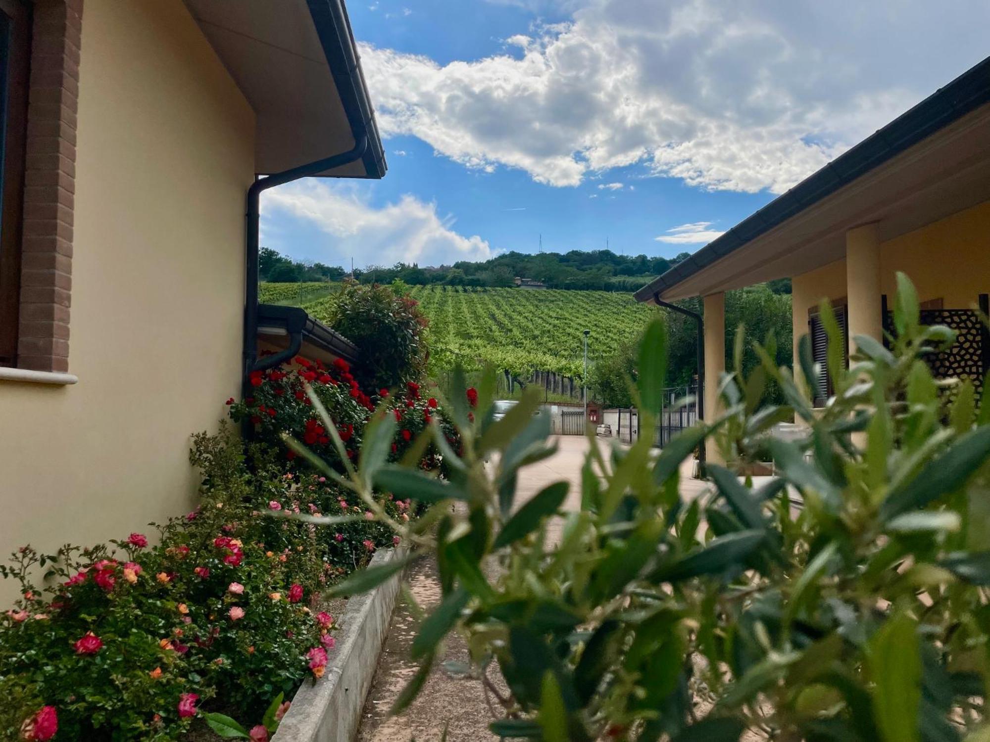 Vigneto - Italian Restaurant & B&B Villa Rosa Di Martinsicuro Extérieur photo